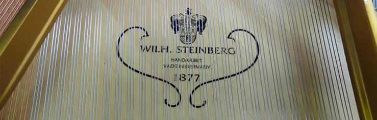 Wilh. Steinberg Piano's en Vleugels