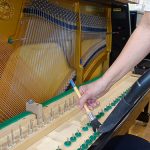 Schlogl118Moderna-1