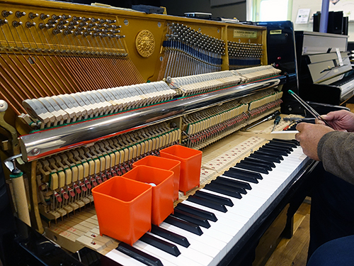 Schlogl118Moderna-3