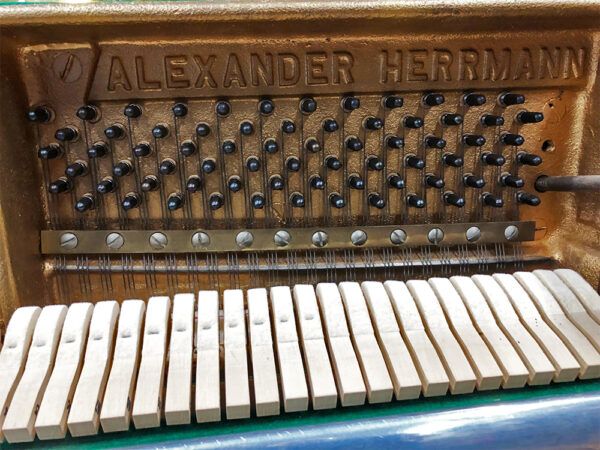 Alexander Hermann M110 - Afbeelding 3