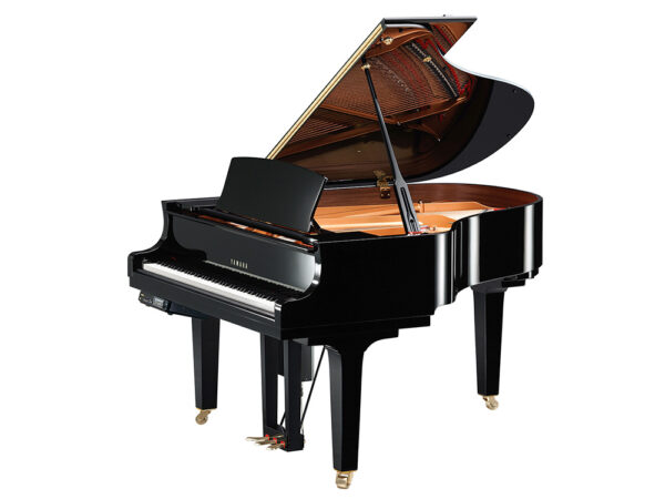 Yamaha DC2X EN PRO