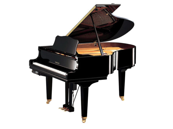 Yamaha DGC2 EN