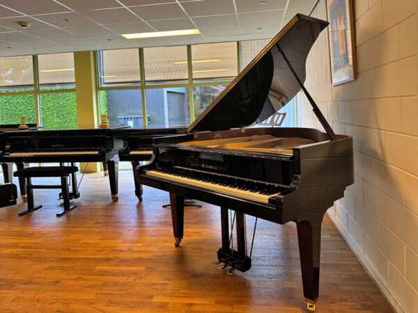 Kawai GE-30