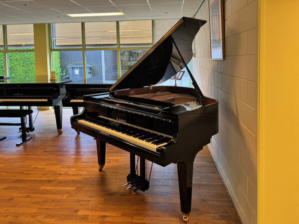 Kawai GE-30 - Afbeelding 2
