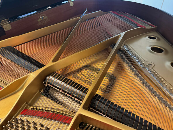 Kawai GE-30 - Afbeelding 4
