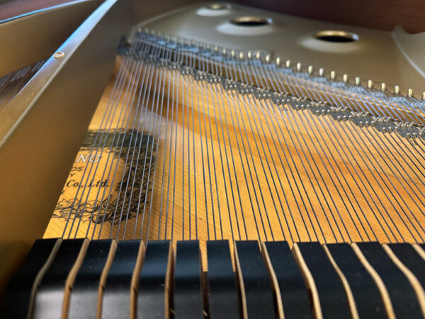 Kawai GE-30 - Afbeelding 6
