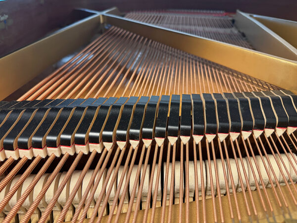 Kawai GE-30 - Afbeelding 5