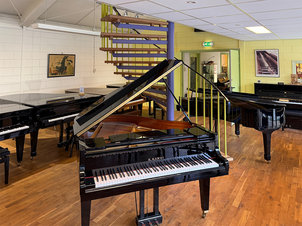 Kawai GM10 K
