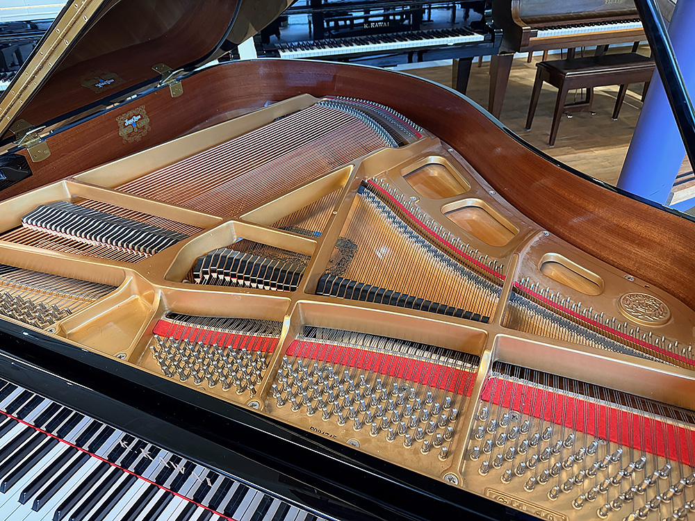 Kawai GM10 K - Afbeelding 4