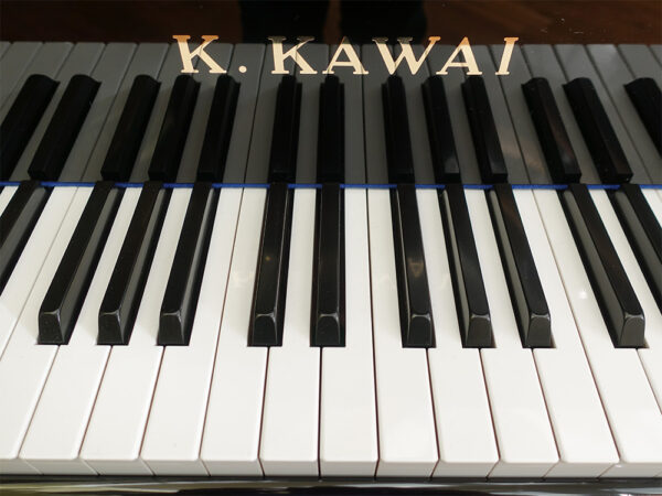Kawai GE-30 - Afbeelding 3