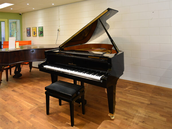 Schimmel 174-T