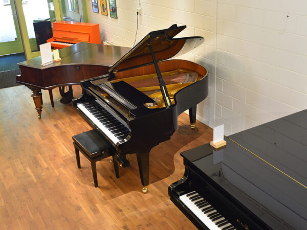 Schimmel 174-T - Afbeelding 2