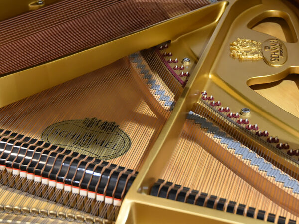 Schimmel 174-T - Afbeelding 4