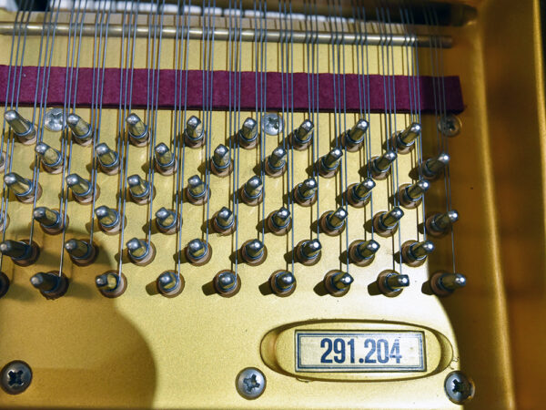 Schimmel 174-T - Afbeelding 5