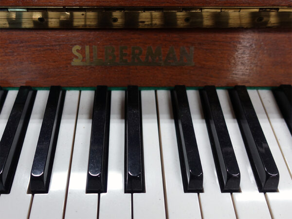 Silberman 108 (by Rippen) - Afbeelding 2