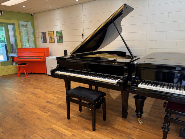 Yamaha C3 B