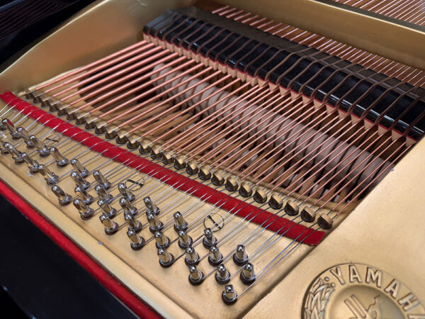 Yamaha C3 B - Afbeelding 6