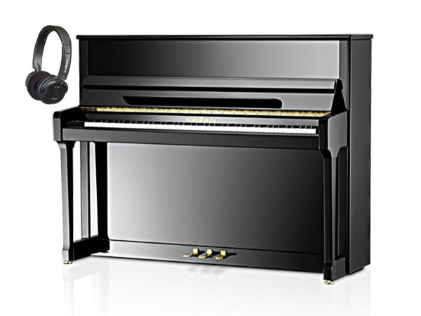 Schimmel C116 T TwinTone