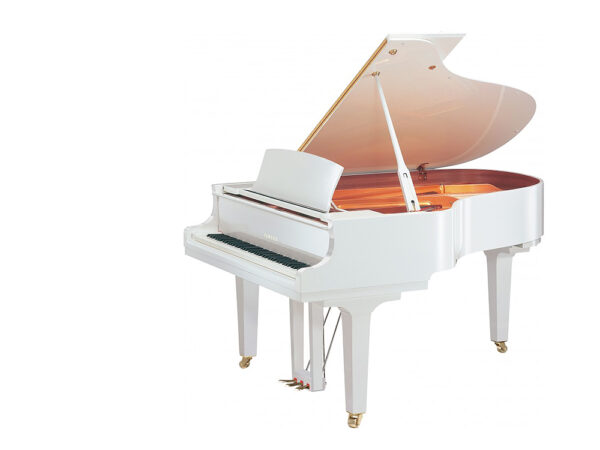 Yamaha C3X - Afbeelding 2