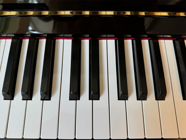 Eterna ER-10 (by Yamaha) - Afbeelding 7