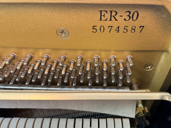 Eterna ER-30 (by Yamaha) - Afbeelding 3