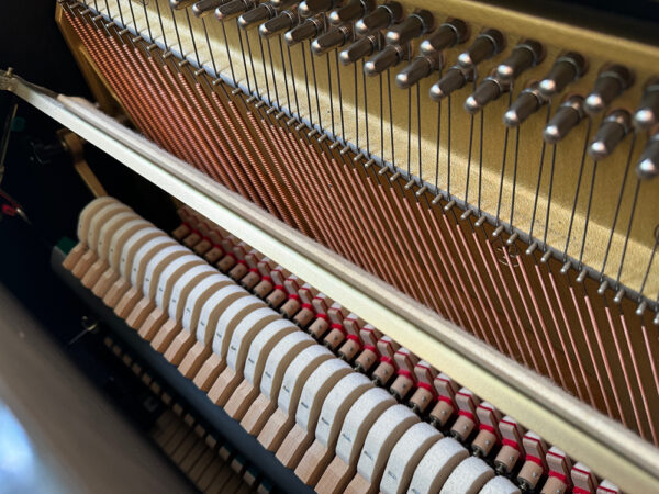 Eterna ER-30 (by Yamaha) - Afbeelding 5