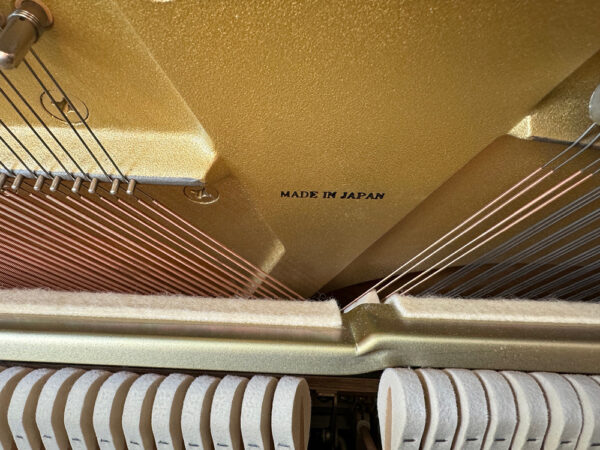 Eterna ER-30 (by Yamaha) - Afbeelding 6