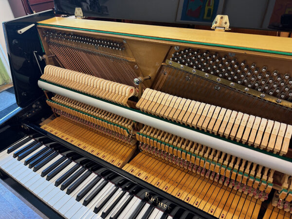 Richter 108 D-II - Afbeelding 4