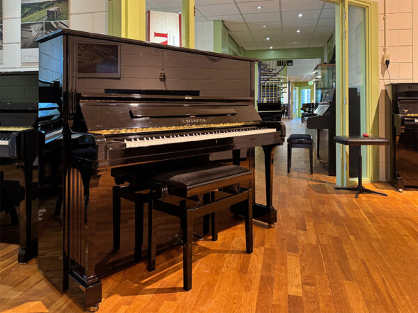 C Bechstein model 8