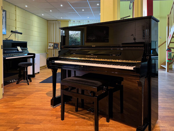 C Bechstein model 8 - Afbeelding 2