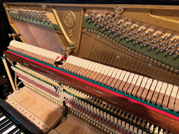 C Bechstein model 8 - Afbeelding 6