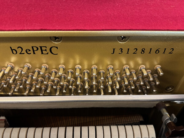 Yamaha B2e - Afbeelding 2