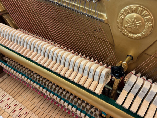 Yamaha P2 - Afbeelding 3