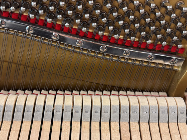 Yamaha P2 - Afbeelding 4