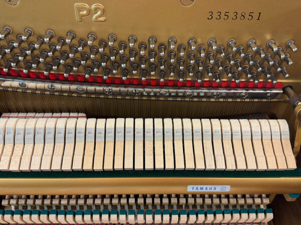 Yamaha P2 - Afbeelding 5