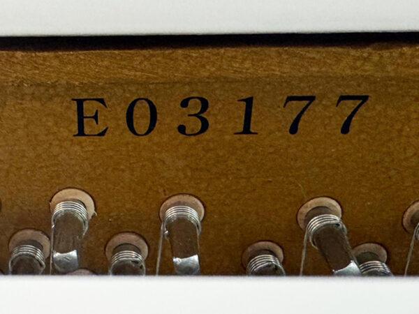 Ritmüller EU 112S - Afbeelding 4