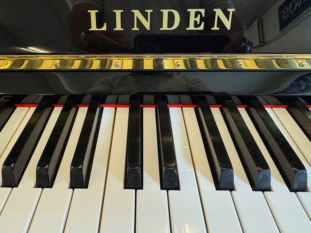 Linden K115 (By Kawai) - Afbeelding 4