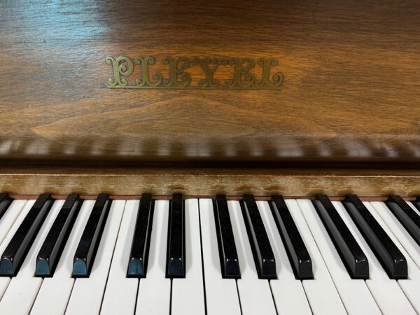 Pleyel 174T (by Schimmel) - Afbeelding 2