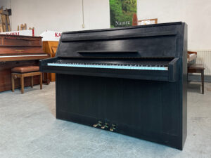 Rippen Cantate