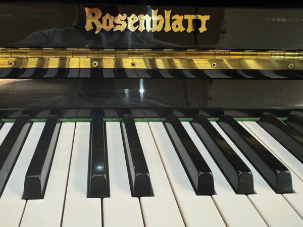 Rosenblatt Model 130 - Afbeelding 3