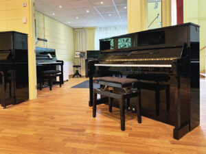 Schimmel 116 S