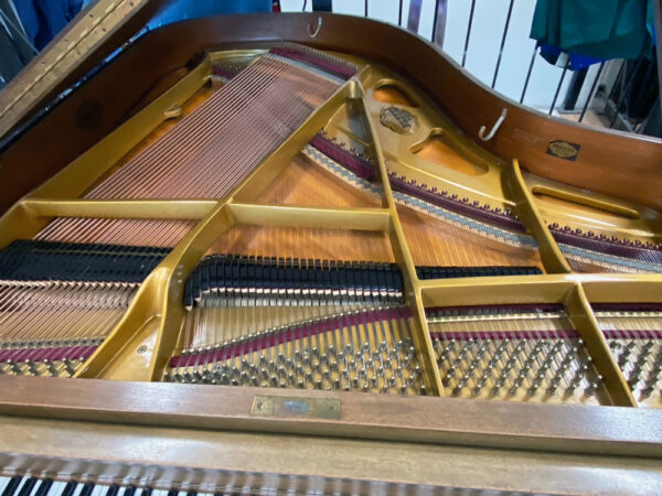 Pleyel 174T (by Schimmel) - Afbeelding 3
