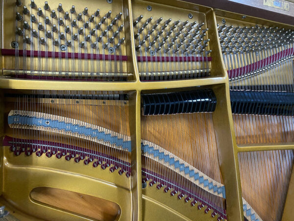 Pleyel 174T (by Schimmel) - Afbeelding 4