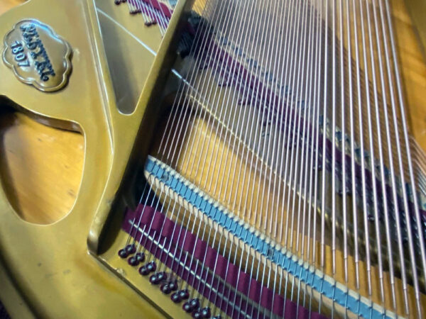 Pleyel 174T (by Schimmel) - Afbeelding 5