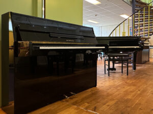 Eterna ER-10 (by Yamaha)