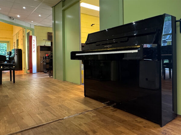 Eterna ER-10 (by Yamaha) - Afbeelding 2