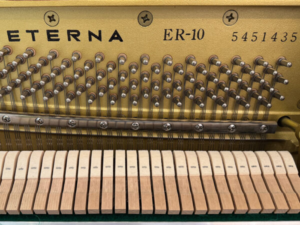 Eterna ER-10 (by Yamaha) - Afbeelding 3