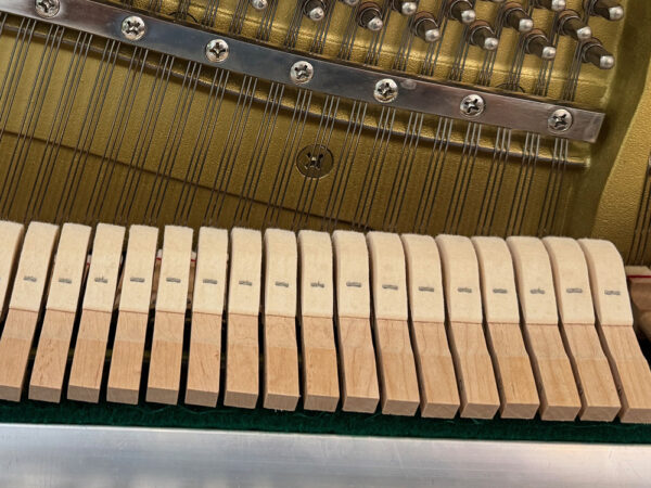 Eterna ER-10 (by Yamaha) - Afbeelding 4