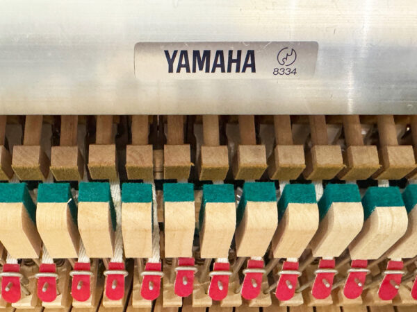 Eterna ER-10 (by Yamaha) - Afbeelding 5