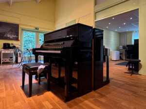 Schimmel C116T